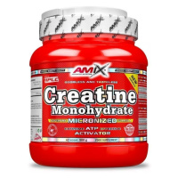 Amix Nutrition Amix Creatine Monohydrate 500 g