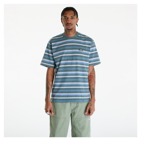 Dickies Glade Spring Short Sleeve Tee Coronet Blue