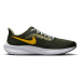 Nike Pegasus 39