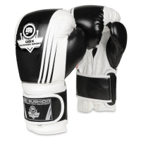Boxerské rukavice DBX BUSHIDO B-2v3A Name: Boxerské rukavice DBX BUSHIDO B-2v3A 14 oz, Size:
