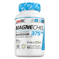 Amix MagneChel Magnesium Chelate 90 kapslí