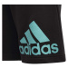 adidas BIG LOGO SHORTS Chlapecké kraťasy, černá, velikost