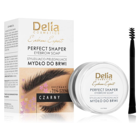 Delia Cosmetics Eyebrow Expert fixační vosk na obočí odstín Black 10 ml