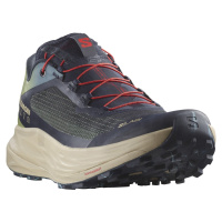 Salomon S/LAB Ultra L47480100 - sage/cameo blue/night sky