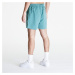 Nike ACG Men's Hiking Shorts Bicoastal/ Vintage Green/ Summit White