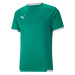 Puma teamLiga Jersey M 704917 05 pánské