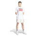 Pánské triko s krátkým rukávem ADIDAS ORIGINALS GRFX TEE LOOSE-White