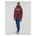 Jack & Jones JJEJOSH SWEAT HOOD Bordó