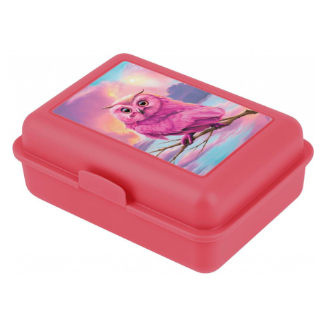 BAAGL Box na svačinu Sova