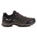 Salewa Mtn Trainer Lite Gtx ruznobarevne