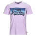 Superdry CALI STRIPED LOGO T SHIRT Fialová