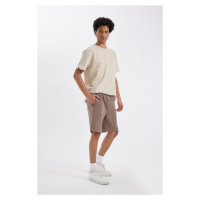 DEFACTO Regular Fit Thessaloniki Fabric Shorts