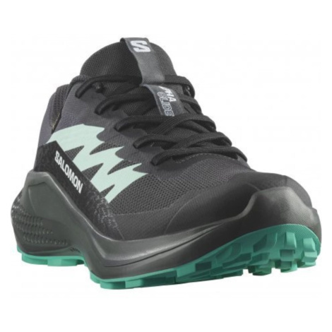 Salomon Alphaglide GTX W L47802400 - phantom/urban chic/waterfall