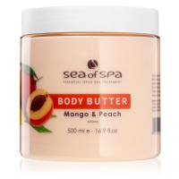 Sea of Spa Dead Sea Treatment tělové máslo s mangem a broskví 500 ml