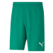 Pánské kraťasy teamRISE Short M 704942 05 - Puma