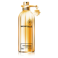 Montale Aoud Damascus parfémovaná voda unisex 100 ml