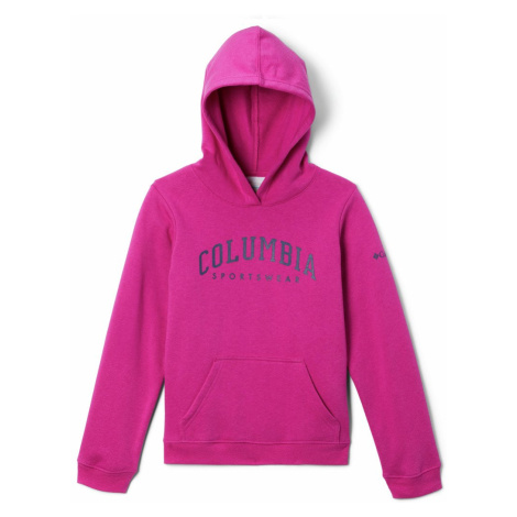 Columbia Trek™ Hoodie J 1989831665 - wild fuchsia X