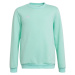 Dětská mikina Entrada 22 Sweat Top Jr HC5042 - Adidas