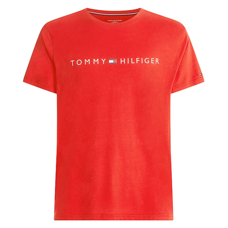 Pánská trička Tommy Hilfiger >>> vybírejte z 2 688 triček Tommy Hilfiger  ZDE | Modio.cz