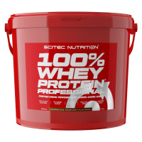 SciTec Nutrition 100% Whey Protein Professional čokoláda/lískový oříšek 5000 g