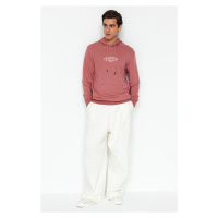 Trendyol Pale Pink Regular/Normal Fit Text Printed Hooded Sweatshirt
