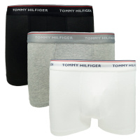 Tommy Hilfiger 3 PACK - pánské boxerky PLUS 1U87905252-004