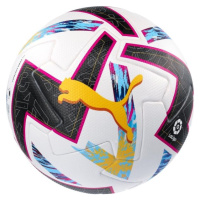 Puma ORTA LALA 1 ELSCO Zápasový fotbalový míč, bílá, velikost