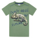 Chlapecké tričko - Winkiki WJB 82272, zelená Barva: Zelená