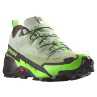 Salomon Cross Hike GTX 2 M L47277600 - desert sage green gecko chocolate pl