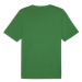 Puma GRAPHIC YEAR OF SPORTS TEE Pánské tričko, zelená, velikost
