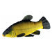 Gaby plyšová ryba lín 60 cm