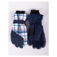 Yoclub Pánské zimní lyžařské rukavice REN-0264F-A150 Multicolour