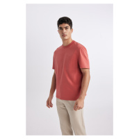 DEFACTO Regular Fit Crew Neck Short Sleeve T-Shirt