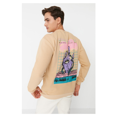 Trendyol Beige Men's Relaxed/Casual Cut Fit Crew Neck Thick Sweatshirt with Inner Fleece