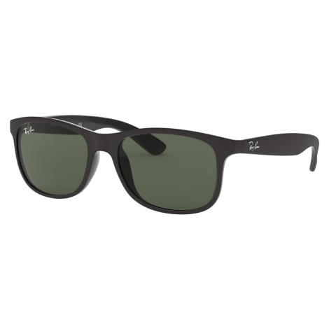 Ray-Ban RB4202 606971 - M (55-17-145)