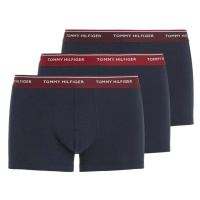 Tommy Hilfiger Woman's Underpants UM0UM016420UL Navy Blue