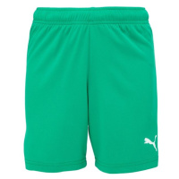 Puma TEAMRISE SHORTS Juniorské šortky, zelená, velikost