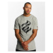 Rocawear T-Shirt - grey melange