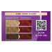 Schwarzkopf Palette Intensive Color Creme permanentní barva na vlasy odstín 6-88 (RI5) Intensive