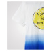 Modro-bílé klučičí tričko s potiskem Desigual Carambola