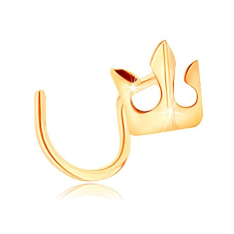Piercing do nosu ze žlutého 14K zlata - malá blýskavá korunka Šperky eshop
