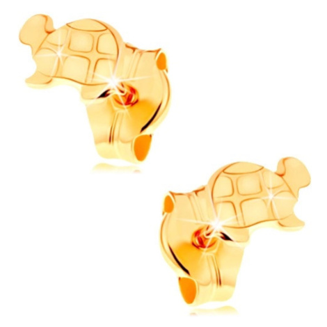 Zlaté náušnice 585 - lesklá želva s gravírovanými detaily Šperky eshop