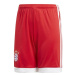Dětské šortky adidas FC Bayern Mnichov Červená / Bílá