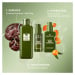 Origins Dr. Andrew Weil for Origins™ Mega-Mushroom Fortifying Emulsion with Reishi and Seabuckth