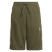 ADIDAS ORIGINALS-SHORTS OLISTR Zelená