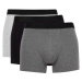 DEFACTO Regular Fit 3-pack Boxer