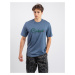 Carhartt WIP S/S Paradise Script T-Shirt Positano