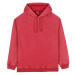 Champion Hooded Sweatshirt