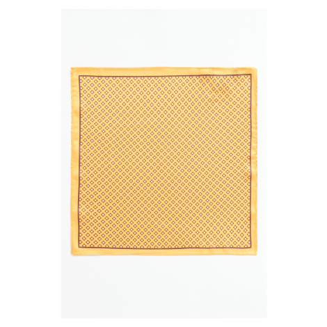 ALTINYILDIZ CLASSICS Men's Yellow Patterned Handkerchief AC&Co / Altınyıldız Classics