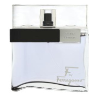 Salvatore Ferragamo F by Ferragamo Pour Homme Black toaletní voda pro muže 100 ml